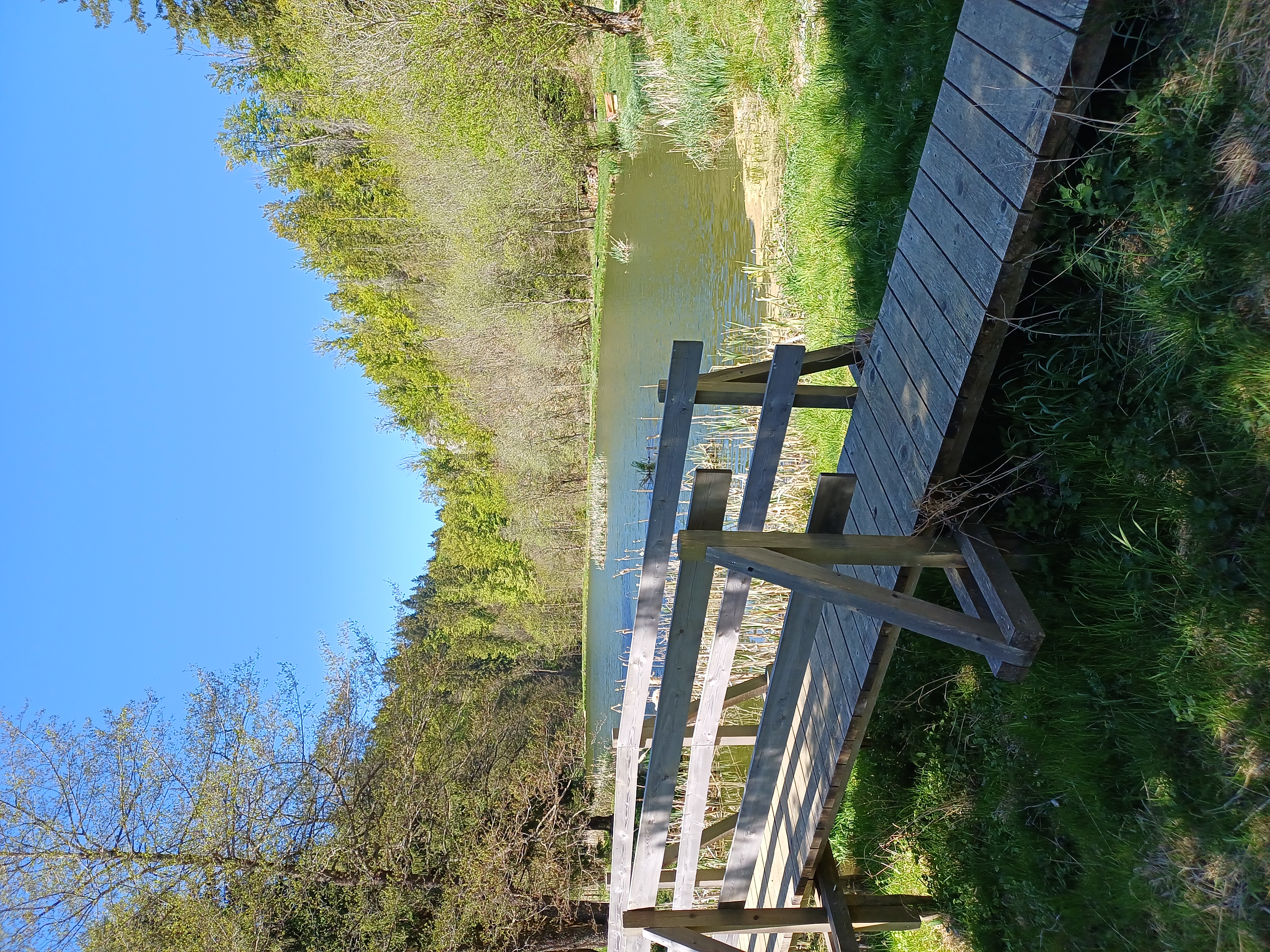 Ponton de l'étang des Beusses