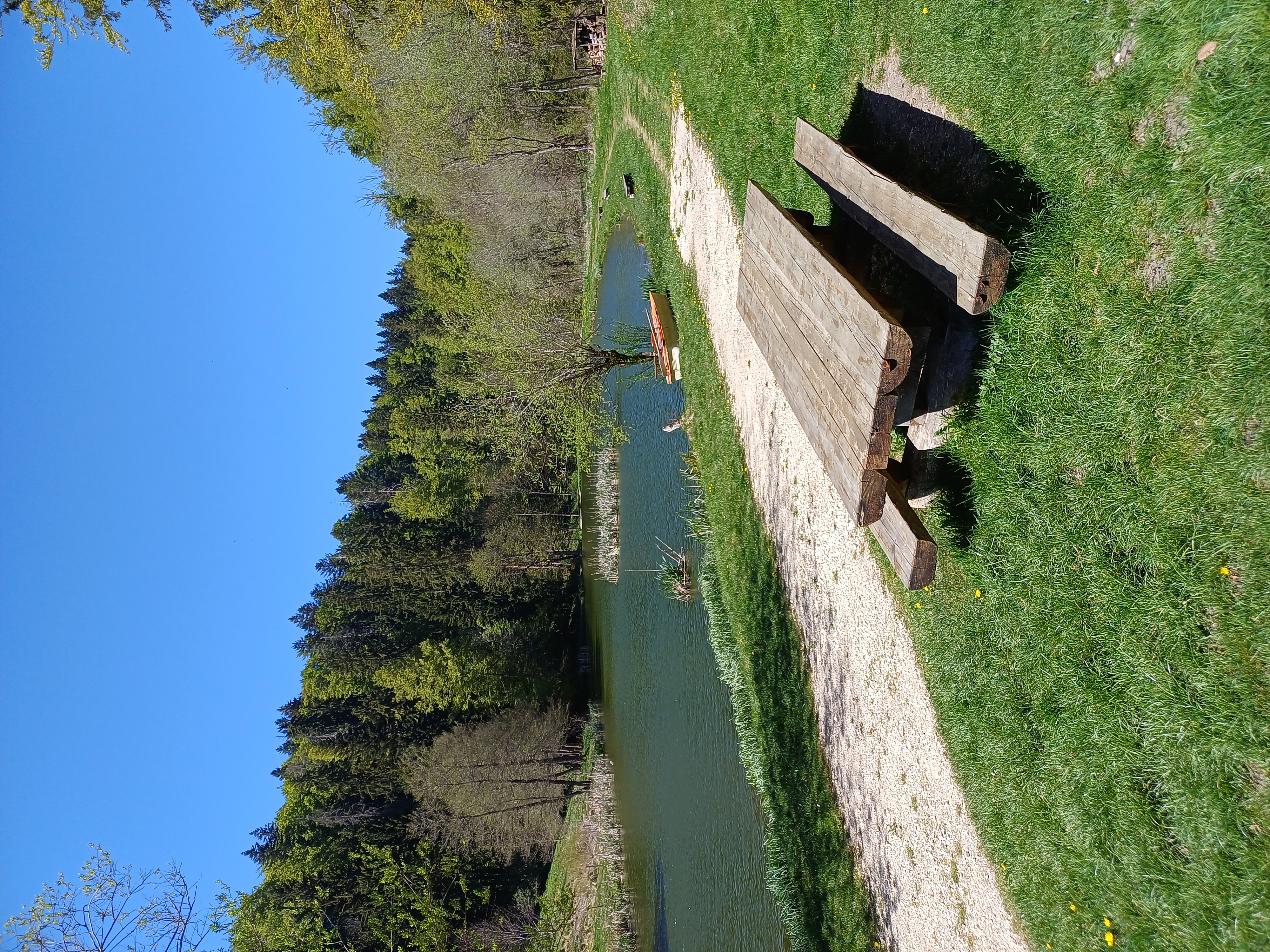 Bord de l'étang