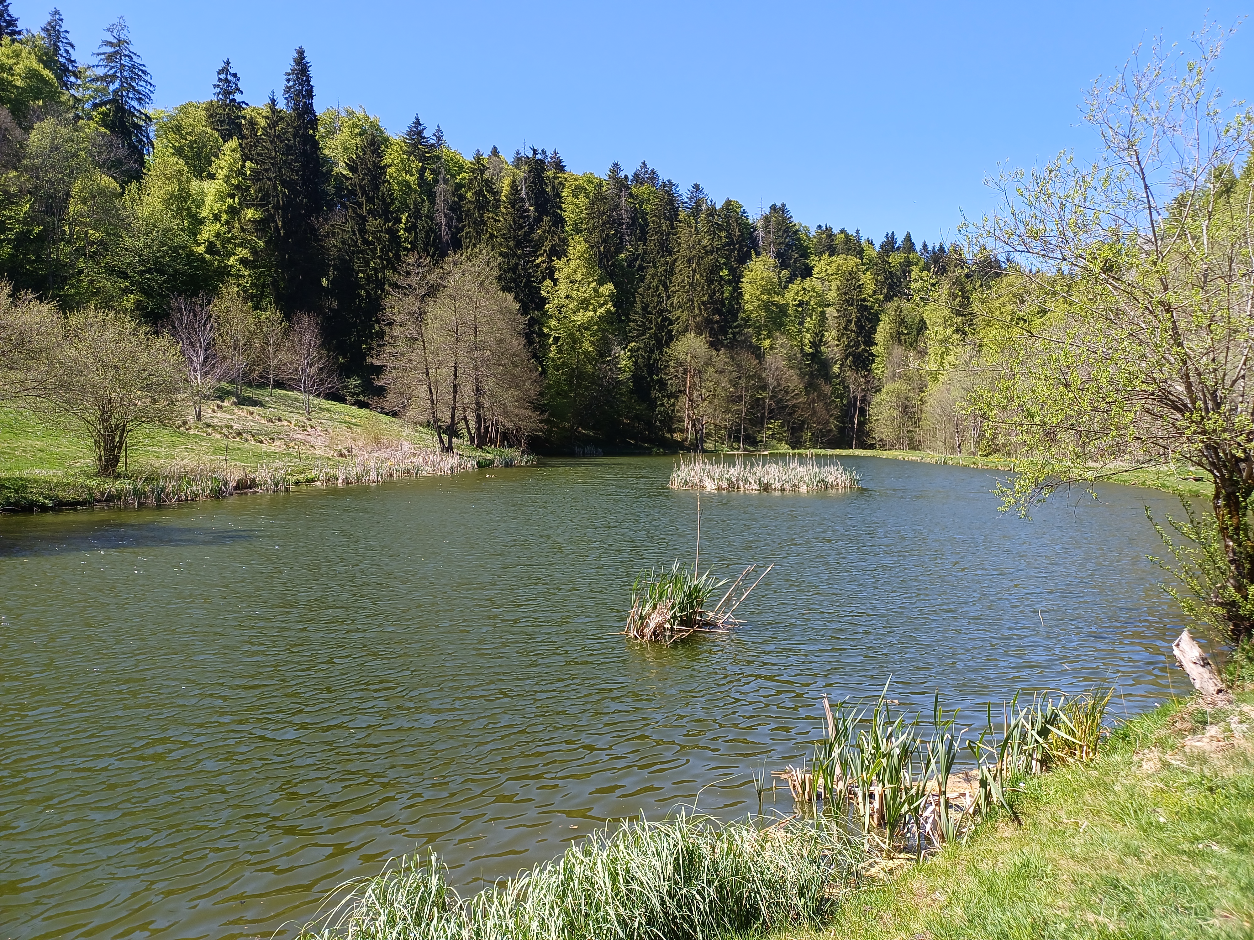 Étang des Beusses à Lajoux