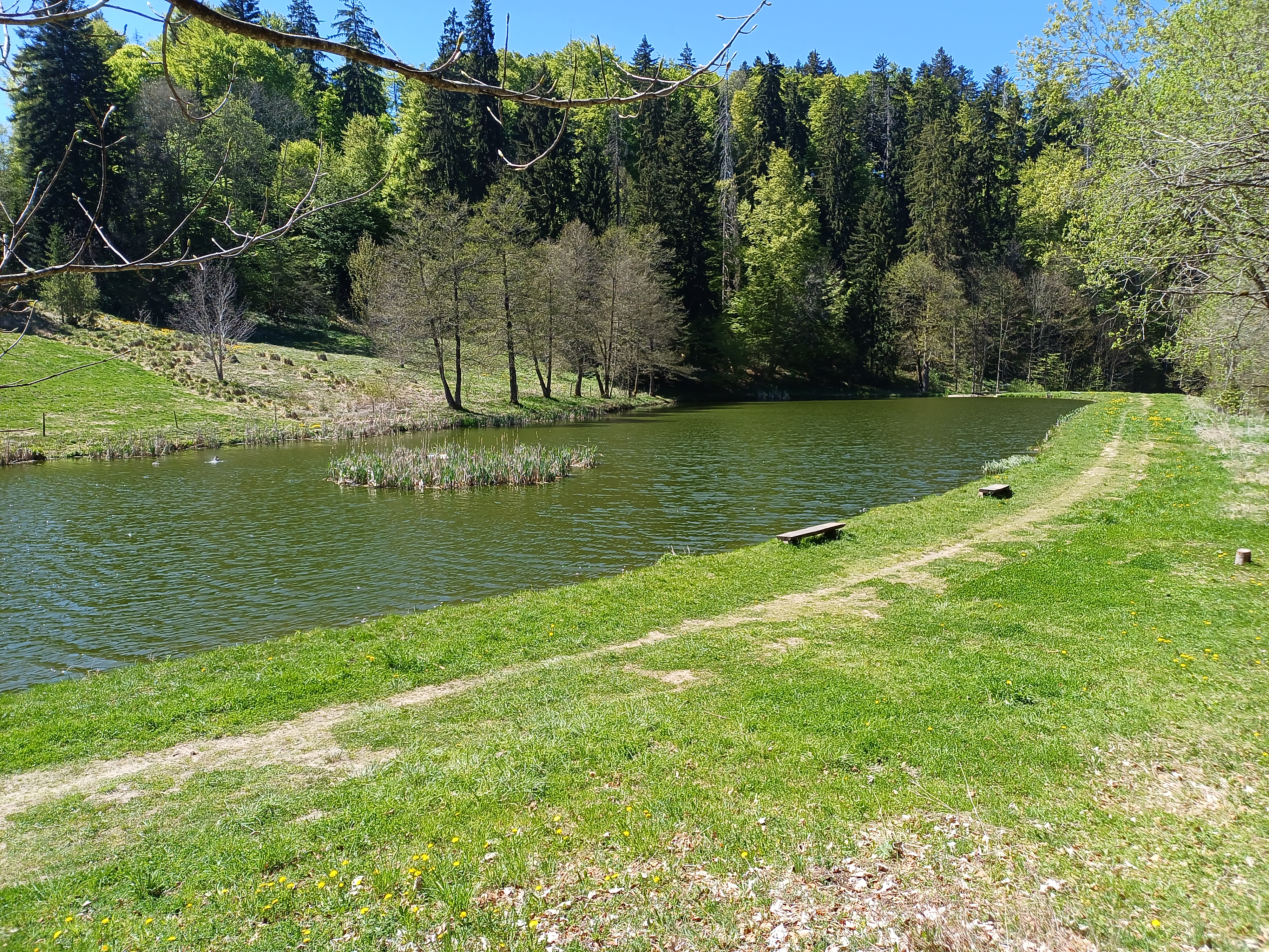 Vue de l'étang des Beusses